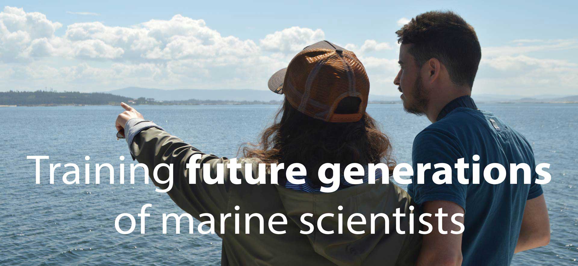 Become a marine mammal scientist